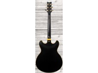 Ibanez JSM-20 Black Low Gloss Ibanez JSM-20 Black Low Gloss